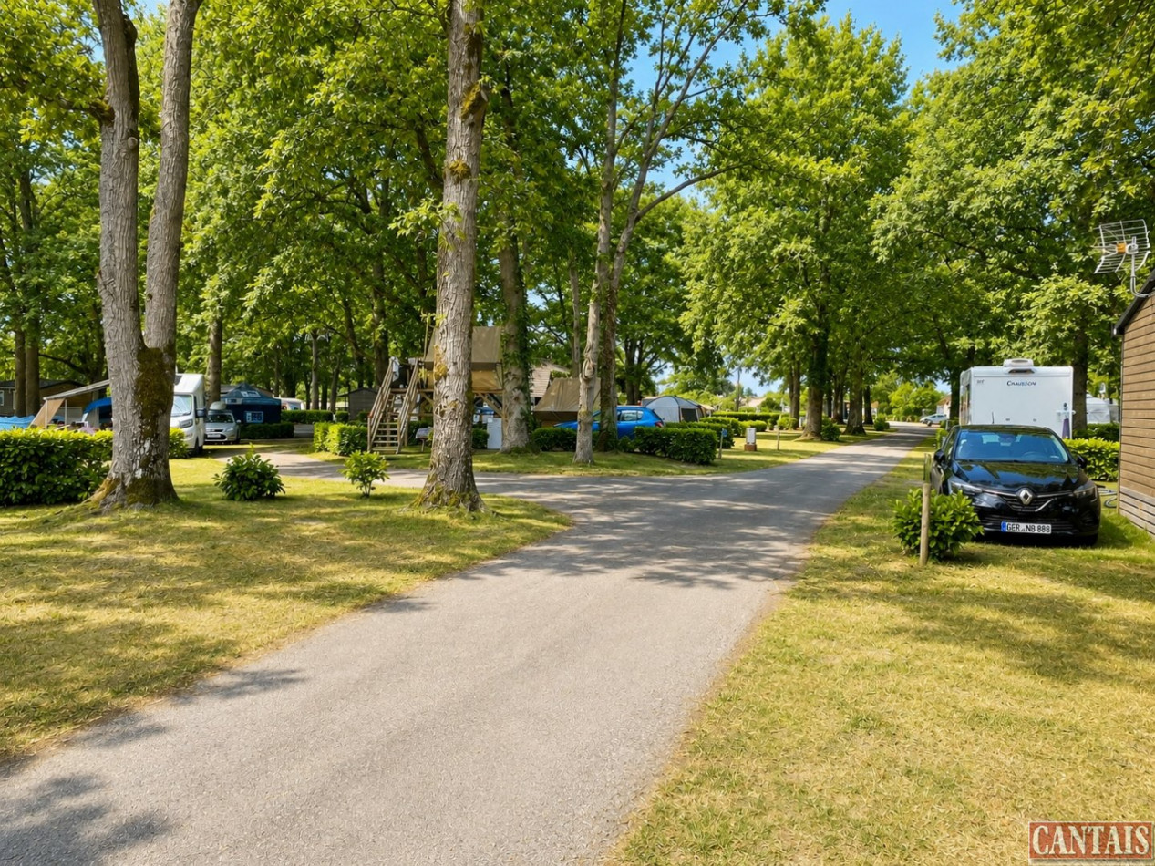 à vendre Camping Chambord - Photo 3