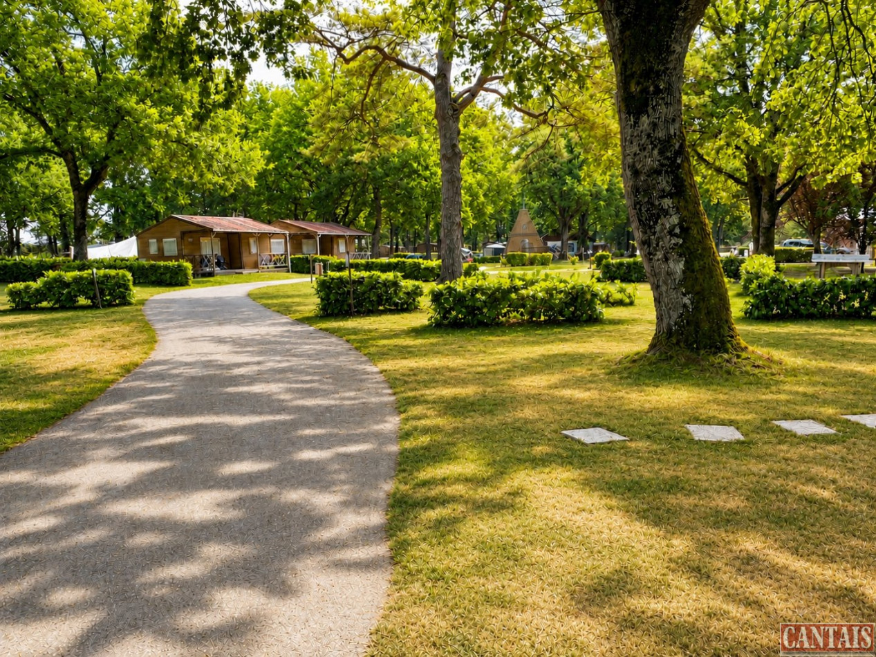 à vendre Camping Chambord - Photo 4