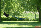 à vendre Camping Chambord
