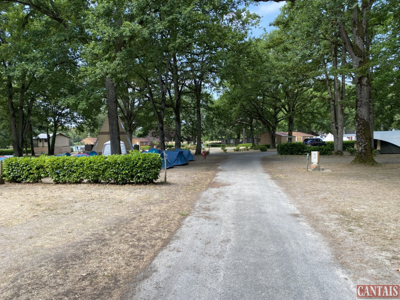vente Camping Chambord - Photo 4