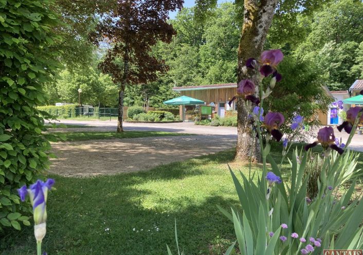 for sale Camping Neufchateau