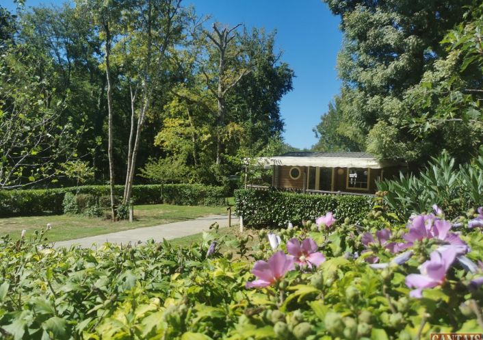 à vendre Camping Biarritz