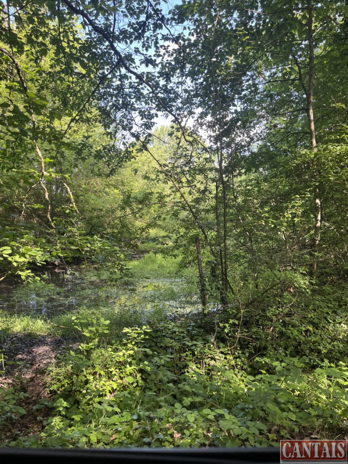 à vendre Camping Versailles - Photo 1