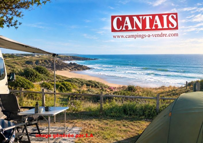 à vendre Camping La Roche Sur Yon
