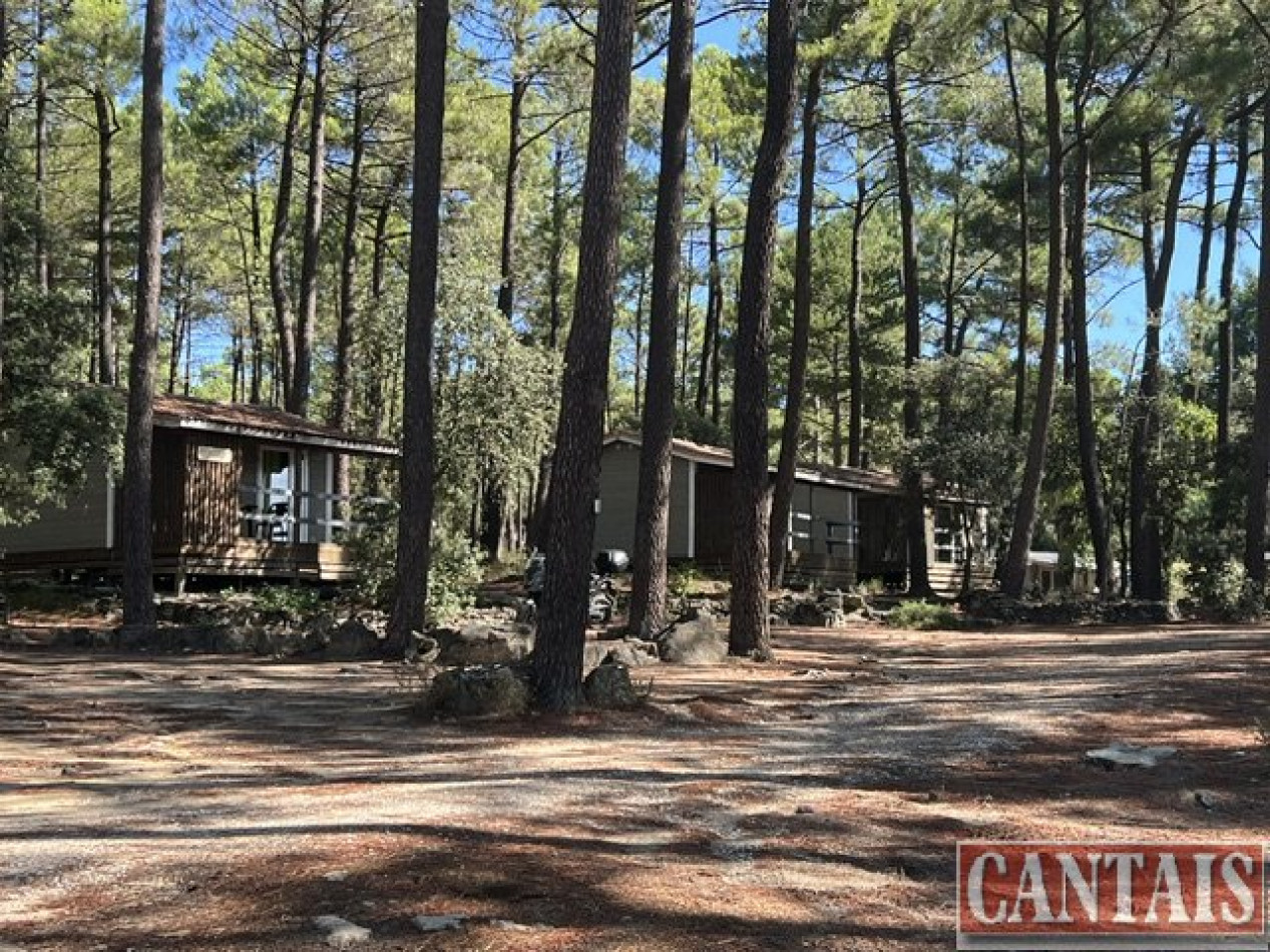 à vendre Camping Brignoles - Photo 2