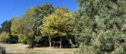 vente Gîte Anzeme