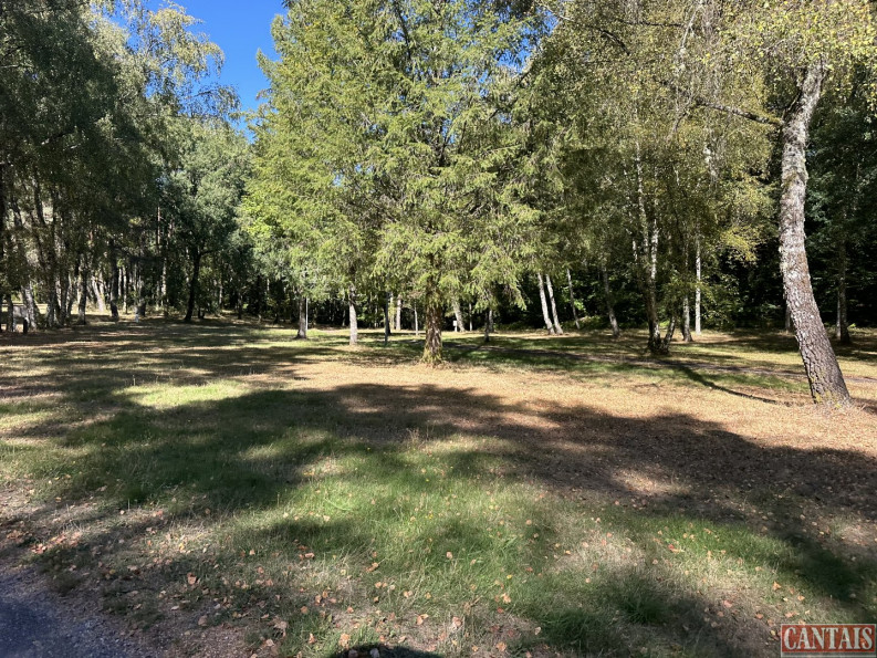 vente Camping Tulle - Photo 6