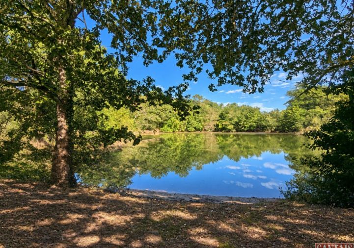 vente Camping La Roche Sur Yon