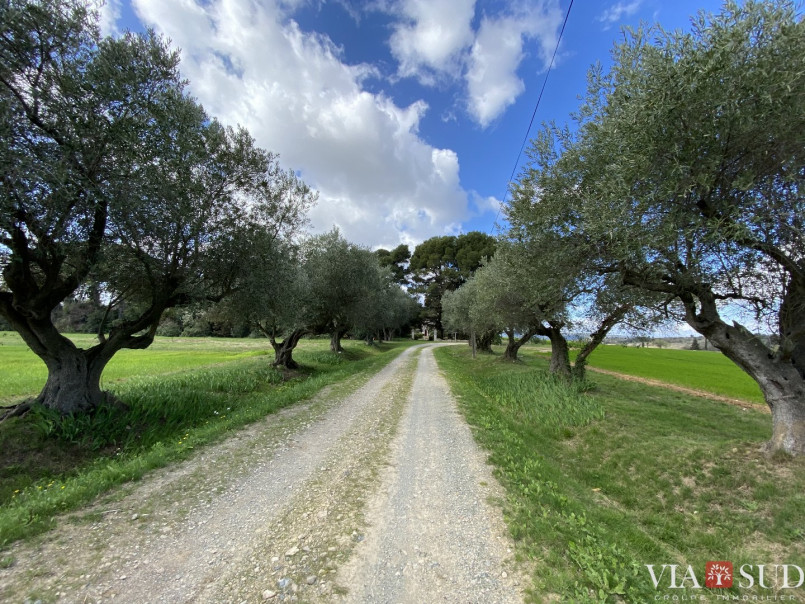 for sale Domaine Narbonne