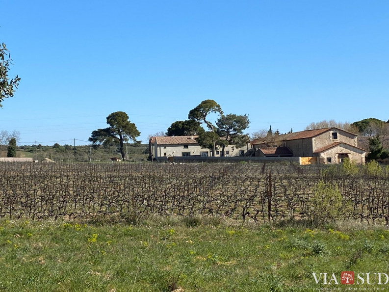 vente Propriété viticole Puisserguier - Photo 1
