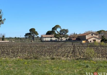 vente Propriété viticole Puisserguier