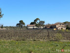 à vendre Propriété viticole Puisserguier