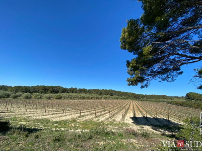 à vendre Propriété viticole Puisserguier - Photo 2