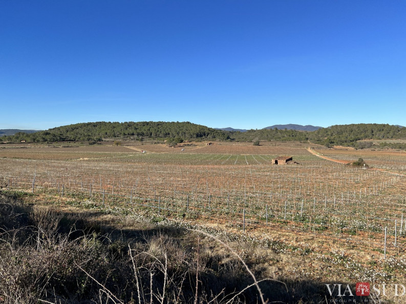 vente Propriété viticole Saint Chinian - Photo 2
