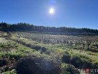 vente Propriété viticole Saint Chinian