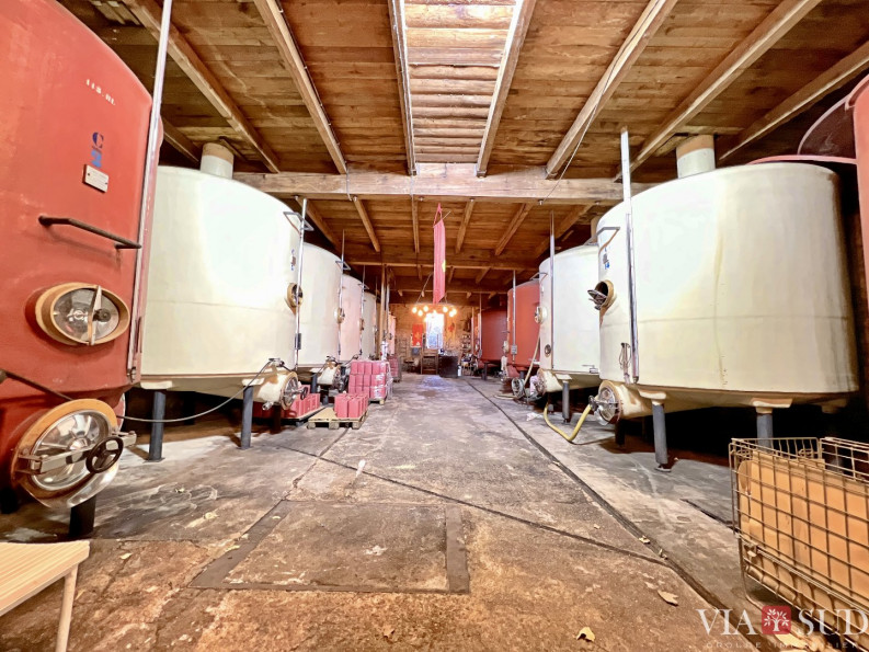 vente Propriété viticole Saint Chinian - Photo 4