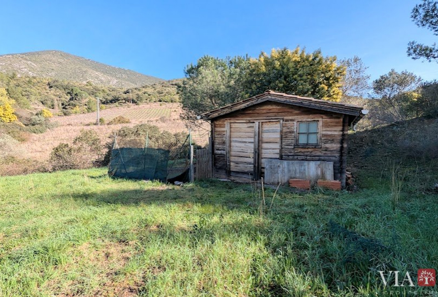 vente Maison Roquebrun - Photo 3