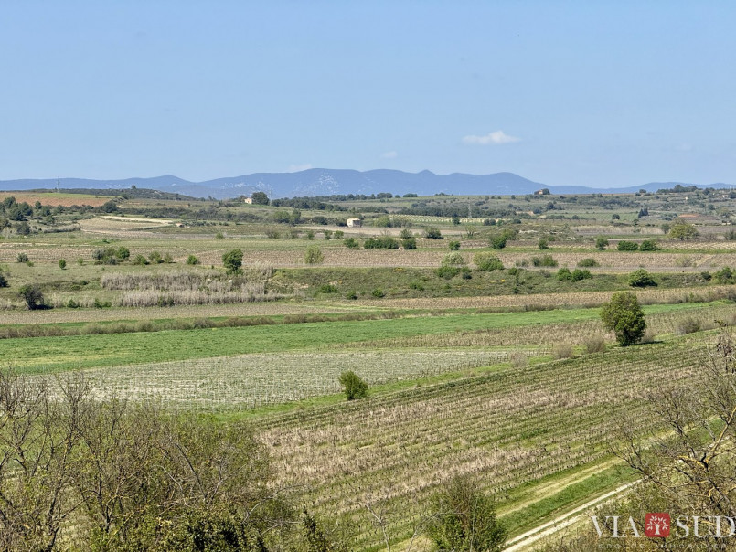 for sale Propriété viticole Puisserguier - Photo 10