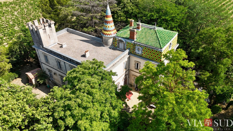 vente Propriété viticole Puisserguier - Photo 2