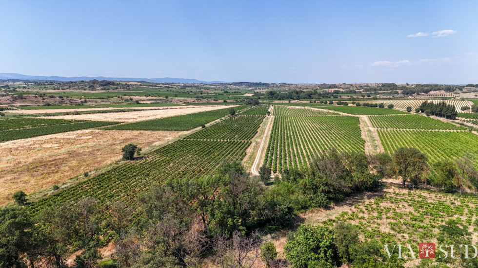 vente Propriété viticole Beziers - Photo 4