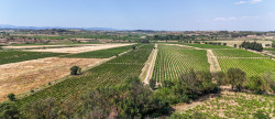 vente Propriété viticole Beziers