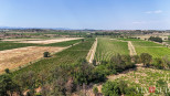 vente Propriété viticole Beziers