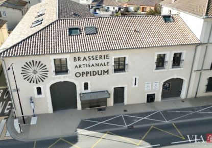 vente Locaux d'activité Capestang