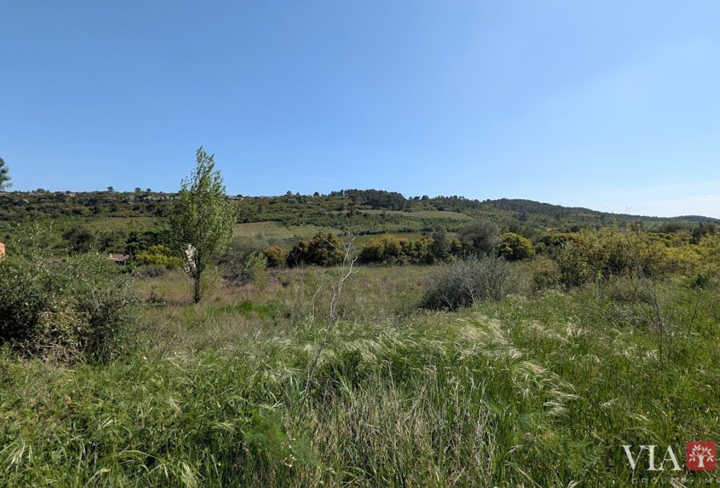 vente Terrain à lotir Cazedarnes - Photo 2