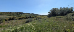 vente Terrain à lotir Cazedarnes