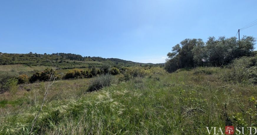 vente Terrain à lotir Cazedarnes