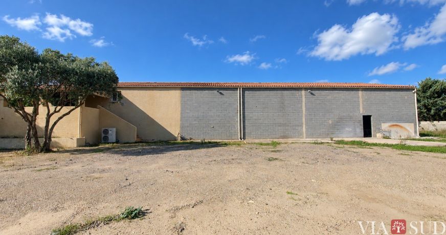 vente Maison Puissalicon