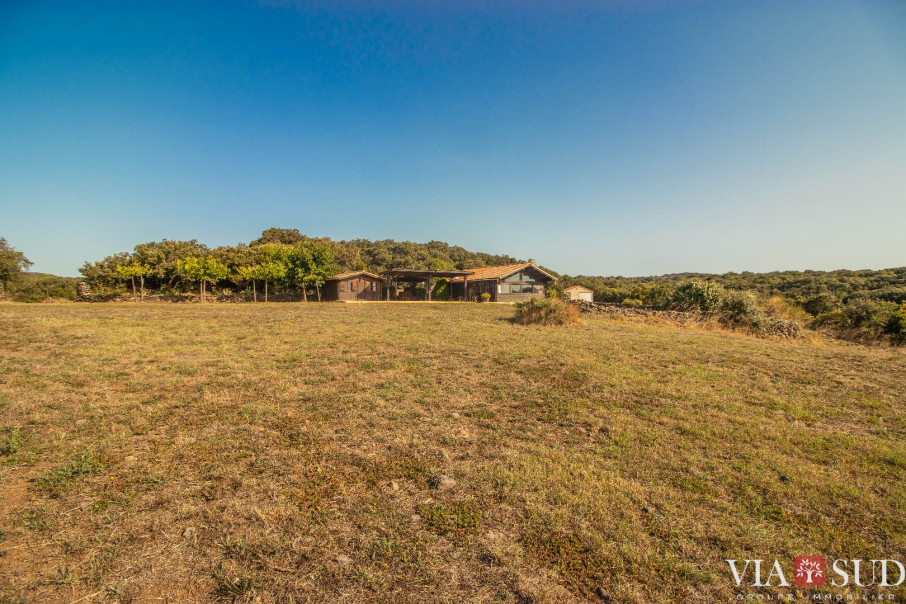 à vendre Domaine Pezenas - Photo 10