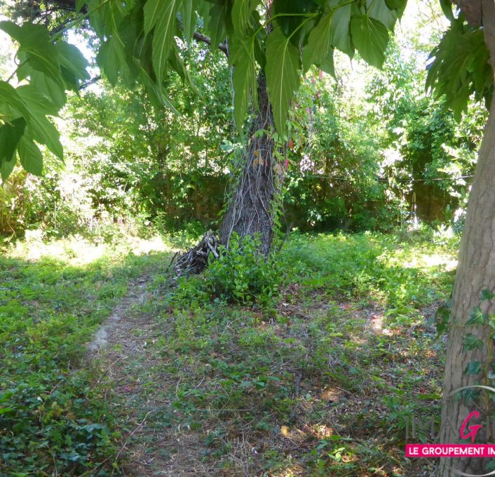 vente Maison de village Montarnaud