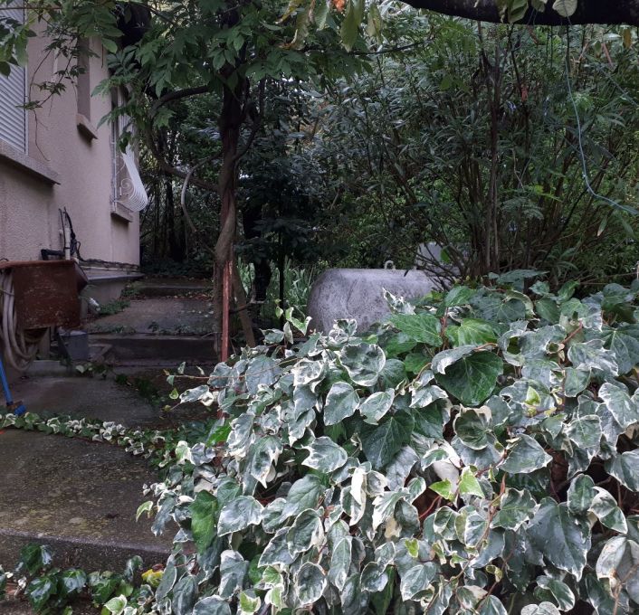 vente Maison de ville Castelnau Le Lez