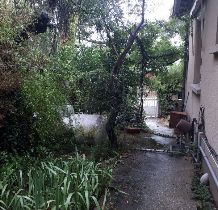 vente Maison de ville Castelnau Le Lez