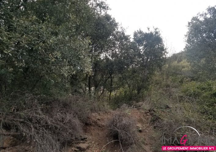 à vendre Terrain boisé – forêt Octon