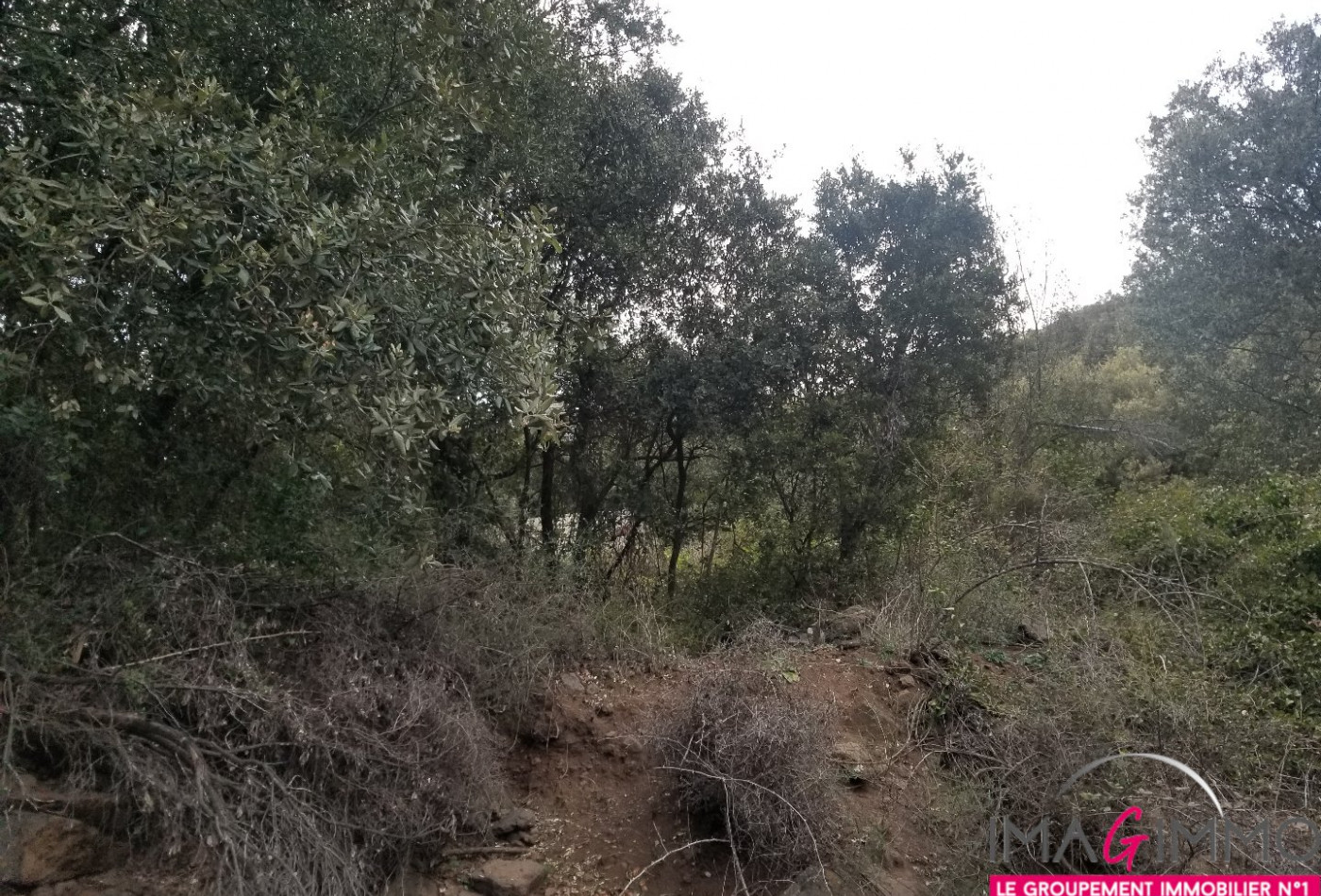 à vendre Terrain boisé – forêt Octon - Photo 5