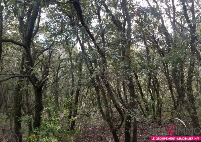 à vendre Terrain boisé – forêt Octon