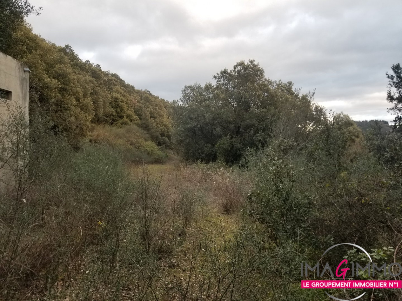 à vendre Terrain boisé – forêt Octon - Photo 4