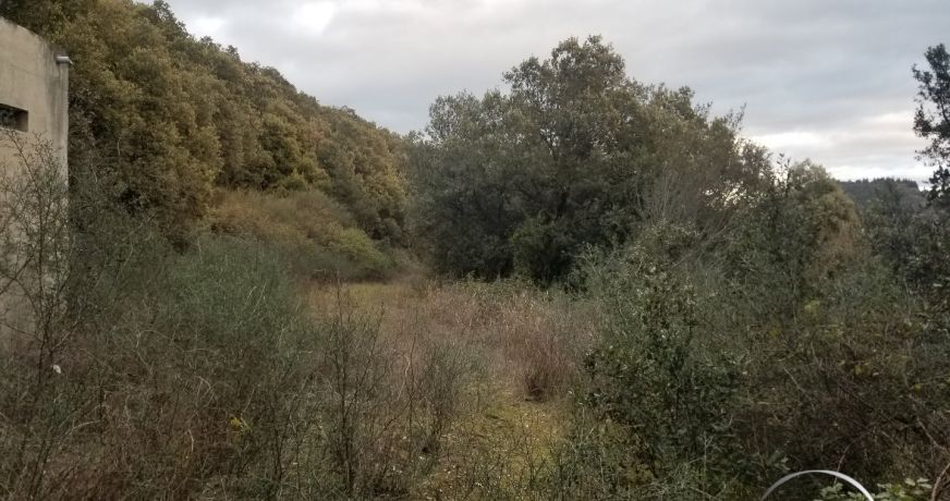 vente Terrain boisé – forêt Octon