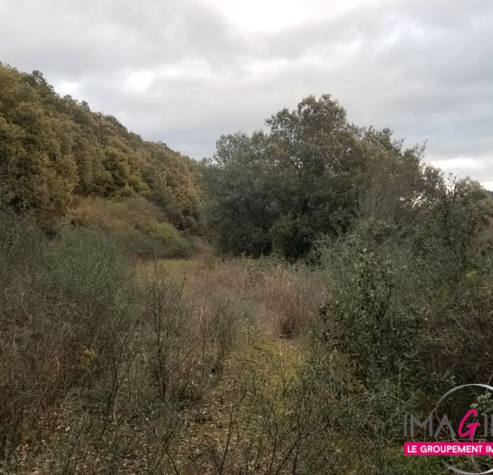 à vendre Terrain boisé – forêt Octon