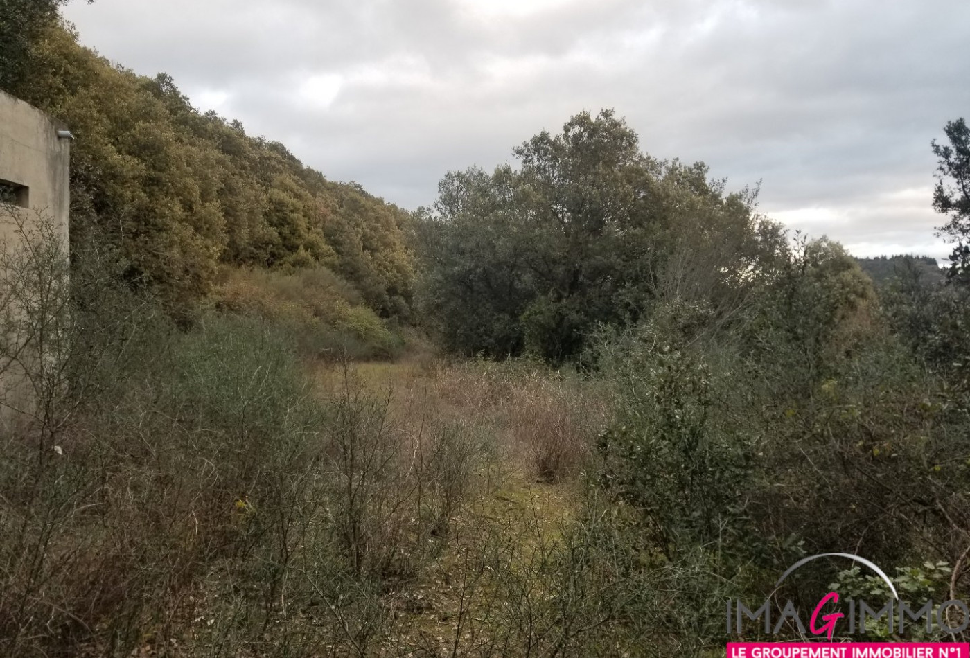 à vendre Terrain boisé – forêt Octon - Photo 4