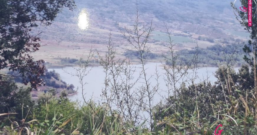 vente Terrain boisé – forêt Octon