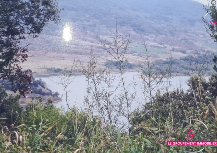 à vendre Terrain boisé – forêt Octon