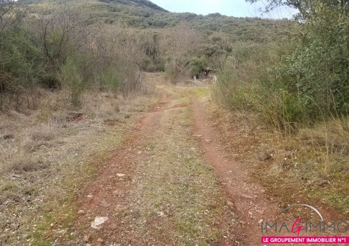 à vendre Terrain boisé – forêt Octon