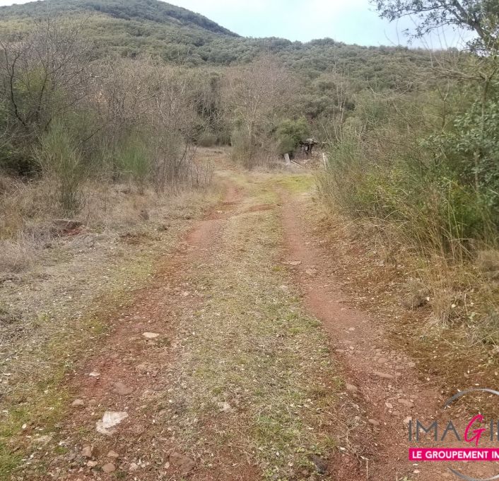 à vendre Terrain boisé – forêt Octon