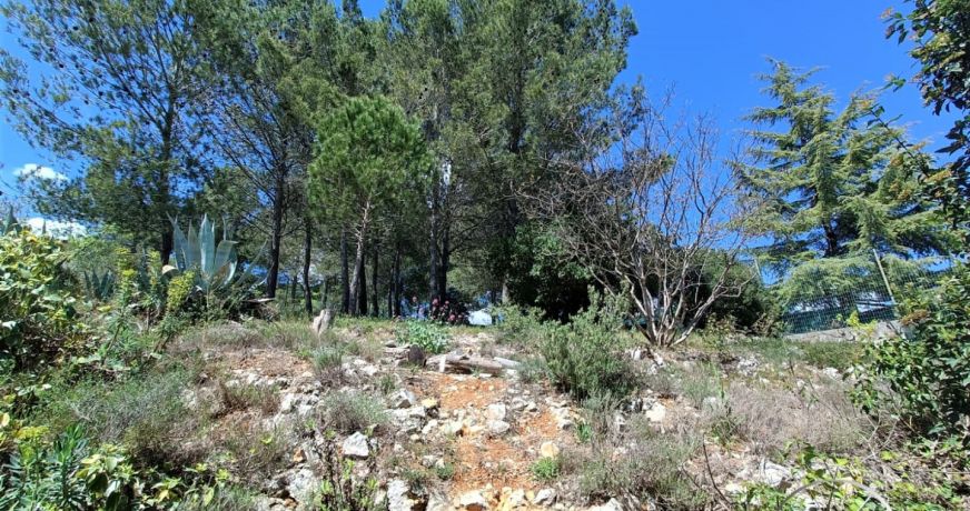 vente Villa Vailhauques