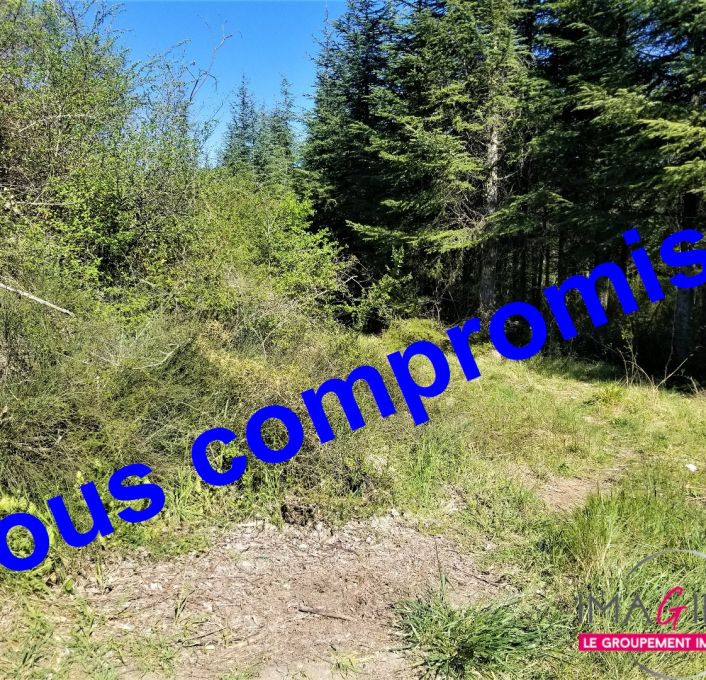 à vendre Terrain agricole Montarnaud