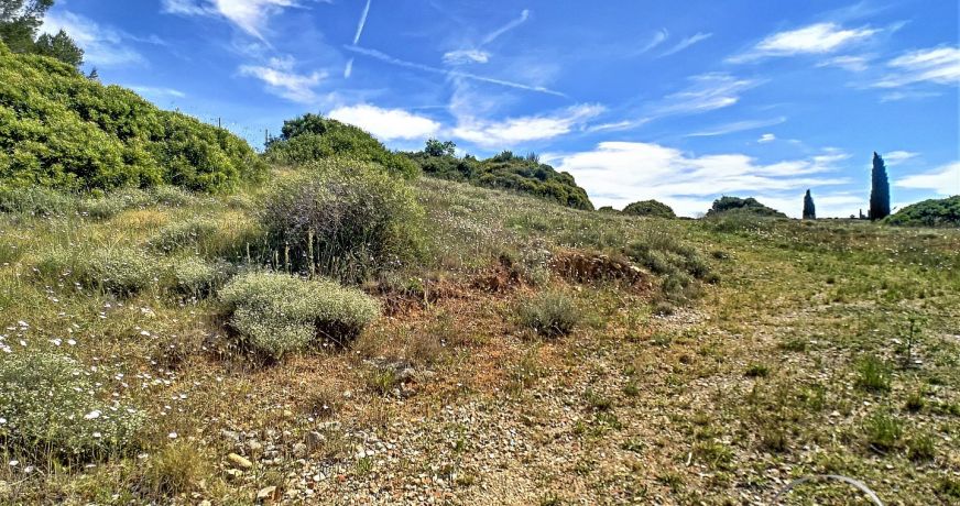 vente Terrain agricole Saint Paul Et Valmalle