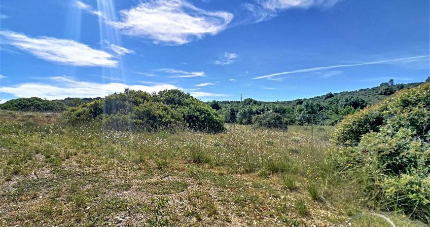 vente Terrain agricole Saint Paul Et Valmalle